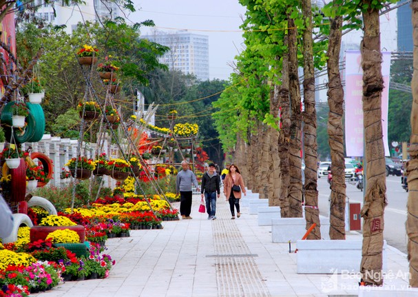Thư viện hình ảnh